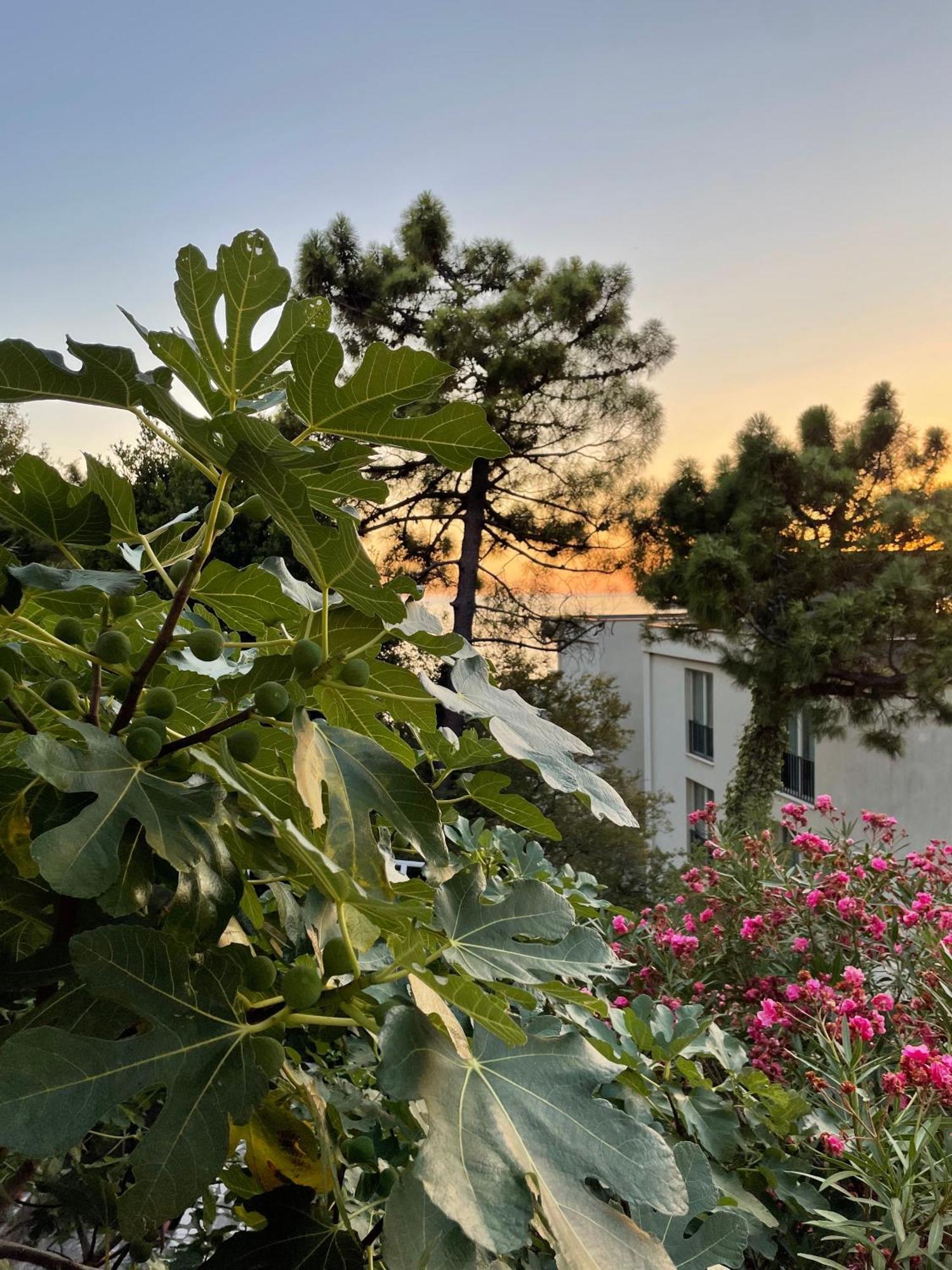 Apartments Sana Ilha Sveti Stefan Exterior foto